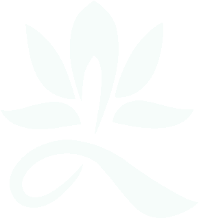 Orbit Logo